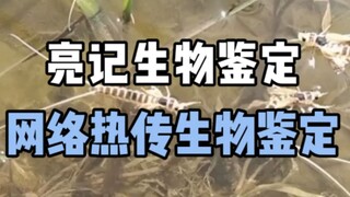 【Liangji Bioassay】Recently popular bioassay on the Internet