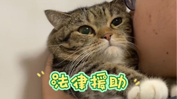 มีคุณป้าคนไหนที่สามารถให้ความช่วยเหลือทางกฎหมายได้บ้างไหม