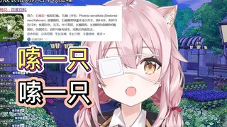 【永雏塔菲】又一次超可爱的嗦嗨嗨