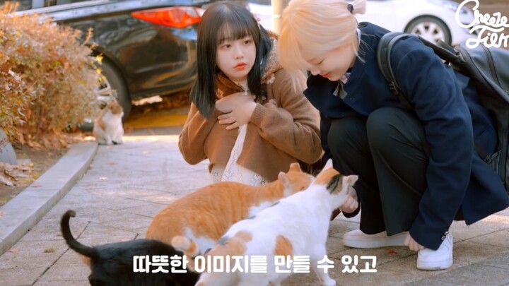 【How to Get a Confession from the Person You Like】Orange and Cheerful