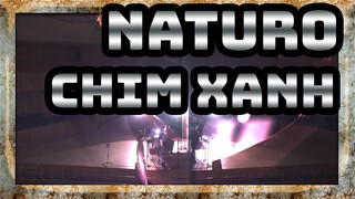 NATURO| [Dàn nhạc đa dụng] Gekijo Ban Naruto-OP-Chim xanh