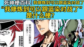 【死神梗百科】“我修炼到可以跟蓝染对战了”是什么梗？【BLEACH】