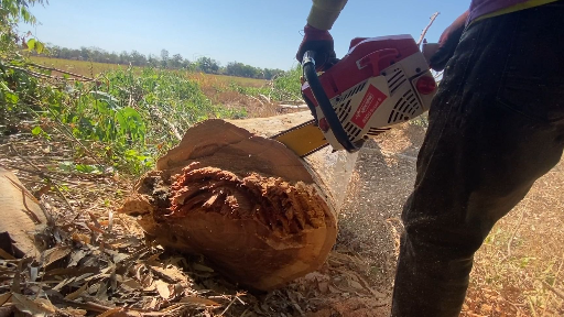 เลื่อยยนต์ Newwave 8800 Super S