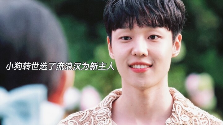 ทำไมสุนัขที่กลับชาติมาเกิดถึงเลือกคนเร่ร่อนเป็นเจ้าของใหม่? เพราะคนเร่ร่อนอาจไม่มีเงินมาก แต่มีความร
