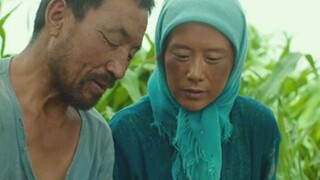 海清、武仁林领衔主演电影《隐入尘烟》票房突破4000万。