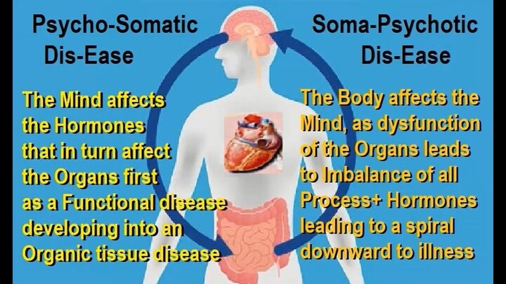 3 ways of thinking Gut-Hear-Brain make up the Psycho-Soma + Soma-Psycho Cycle of