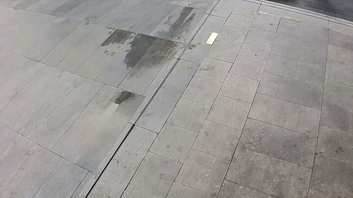 A two-meter-tall person’s street-view perspective