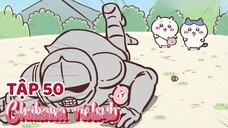 Chiikawa vietsub Tập 50 Quả Sồi/ Một Ngày Tốt Lành