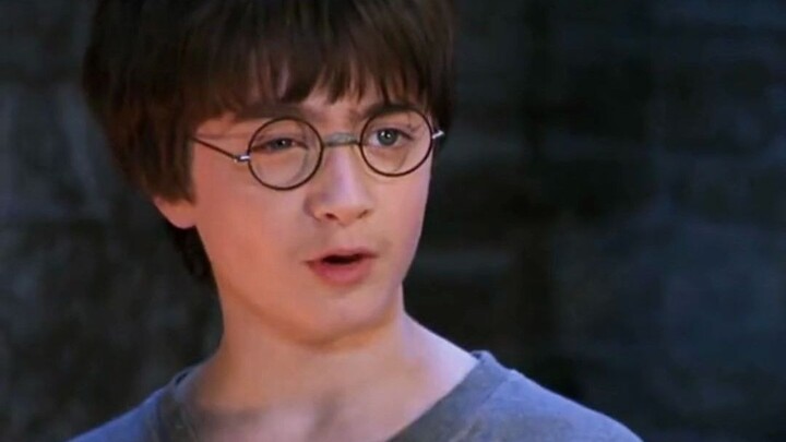 【Harry Potter】Harry: I'm also an Animagus