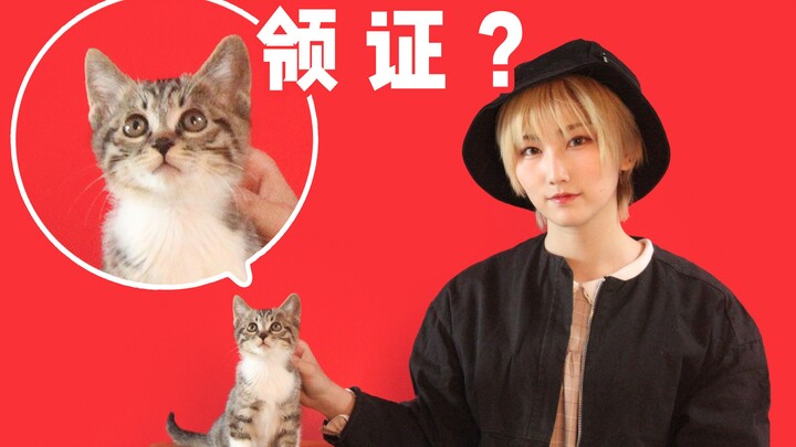 ครั้งแรกที่จดทะเบียนกับน้องแมว ร่วมพิธีรับเลี้ยงสุดฟินเหมือน “แต่งงาน”!