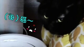 Aku sudah mengajak Suishui pergi ke festival ini! Bagaimana dengan kalian? Selamat Festival Qixi unt