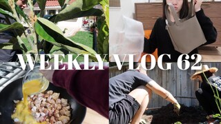 VLOG MINGGUAN 62 | "Rencana Pertanian", unboxing tas ember baru, tutorial oyakodon keluarga, film ya