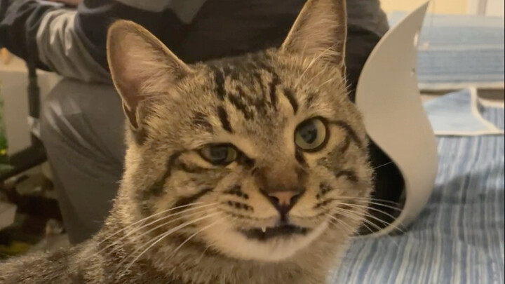 Bung, aku sarankan kamu bijak aja, buruan main sama aku!