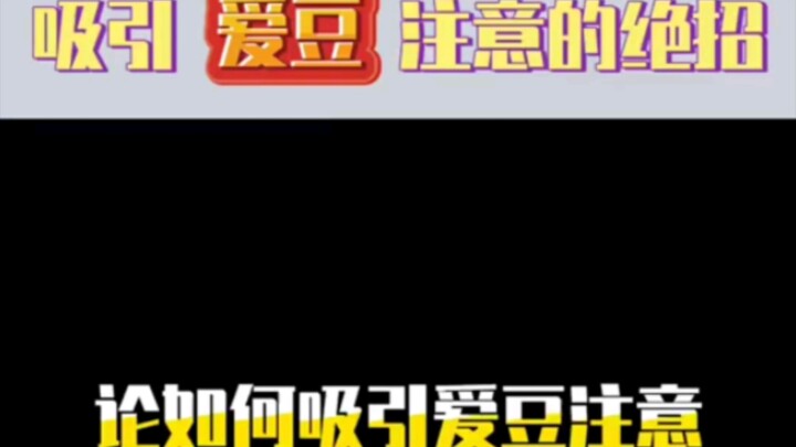 Secret Tricks to Grab Your Idol's Attention: Lu Han, Cai Xukun, and Fan Chengcheng Win a Smile from 