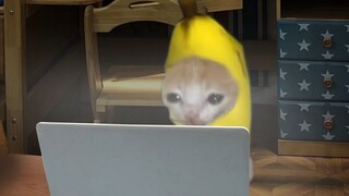 เกี่ยวกับศาสตร์ลึกลับที่ฉันใช้ตอนดูการแข่งขัน!