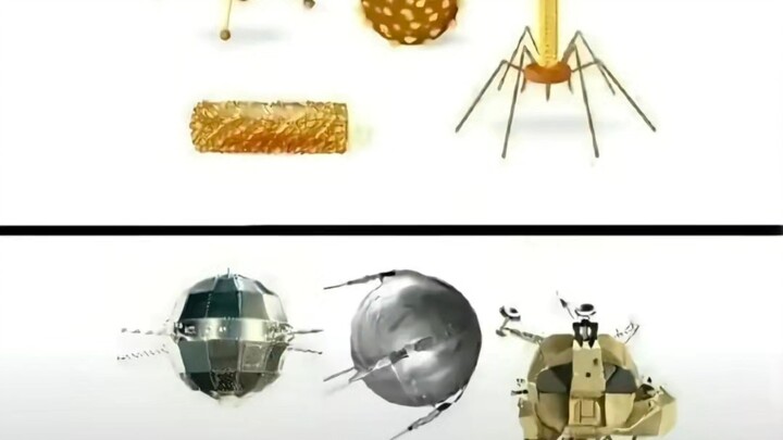 Tôi đã phát hiện ra!!!
