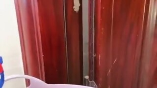 Mẹ bị thằn lằn dọa chạy mất, cuối cùng con gái quay lại đoạn video này và cất giọng non nớt cầu cứu 