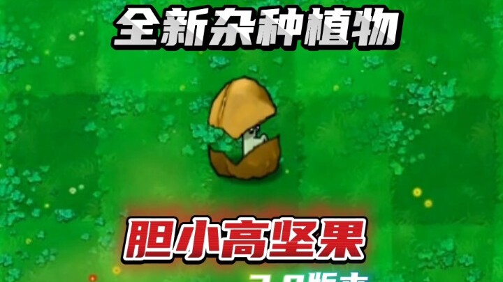 Brand-new hybrid plant: Cowardly Tall Nut 3.0 version