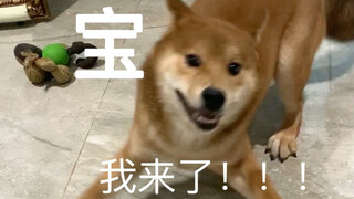 ลูกชายตัวโตของแม่ (เพื่อแสดงความขอโทษ)