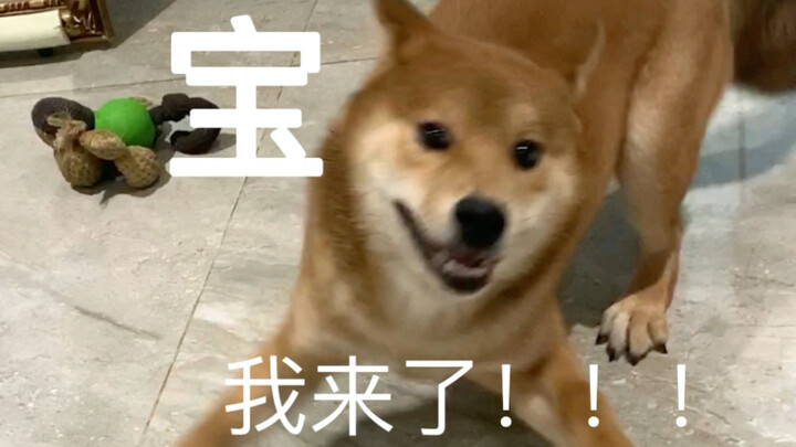 妈妈的好大儿（以表歉意）