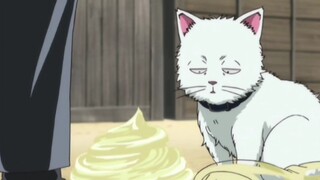 【银魂】好心土方将自己的蛋黄酱送给变成猫的银