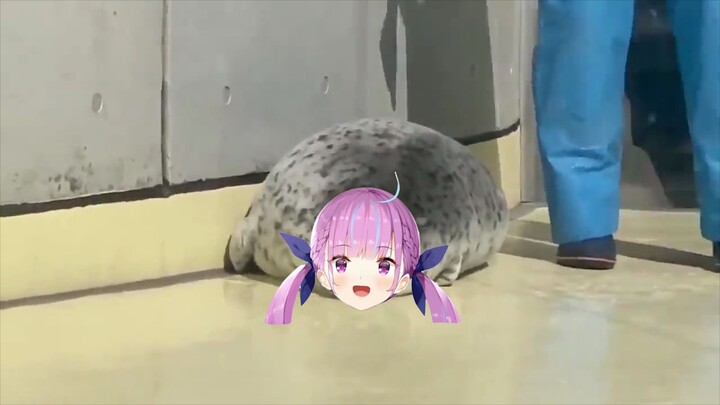 Debu Aqua who is so lazy