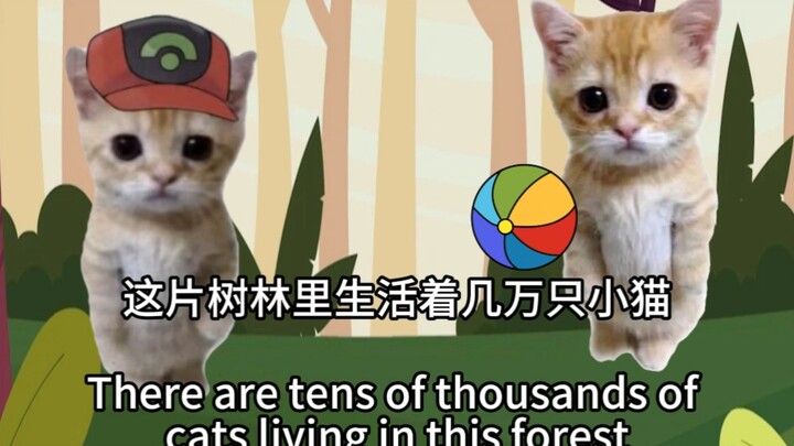 ลูกแมวอธิบายว่าอนาธิปไตยคืออะไร