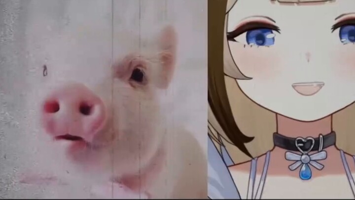 Tại sao bạn có năm mắt? !