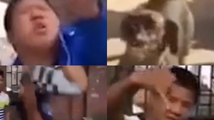 “Nhóm nam Đông Bách”