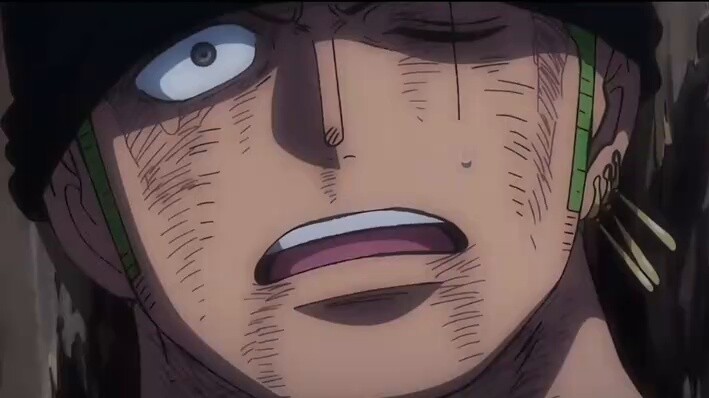 "Cuộc gặp gỡ định mệnh của Zoro"