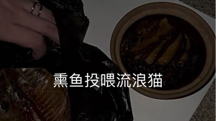 Chúng tôi đều không thích mèo