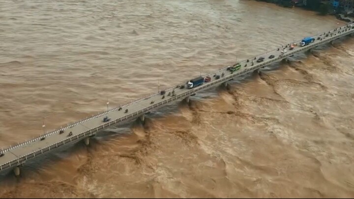 #NarayanRiver नारायणीको जलसतह हालसम्मकै उच्च  #NarayaniFlood #NarayanBridge #BusinessNewsN