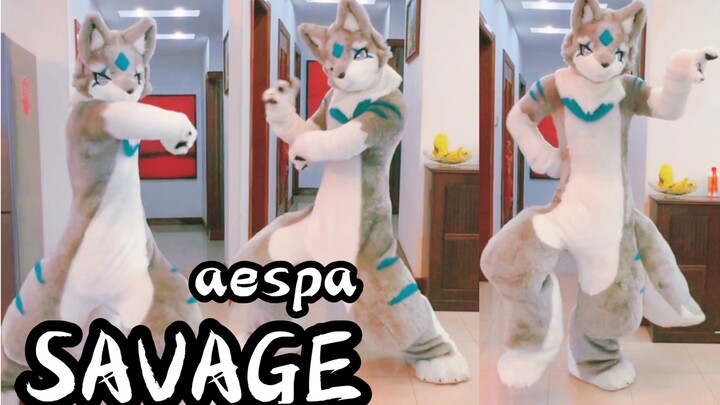 Người thú Tu Gou nhảy lại Savage của aespa! Chó hoang!