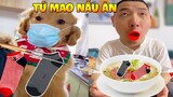 Thú Cưng Vlog | Tứ Mao Ham Ăn Đại Náo Bố #5 | Chó thông minh vui nhộn | Smart dog funny pet