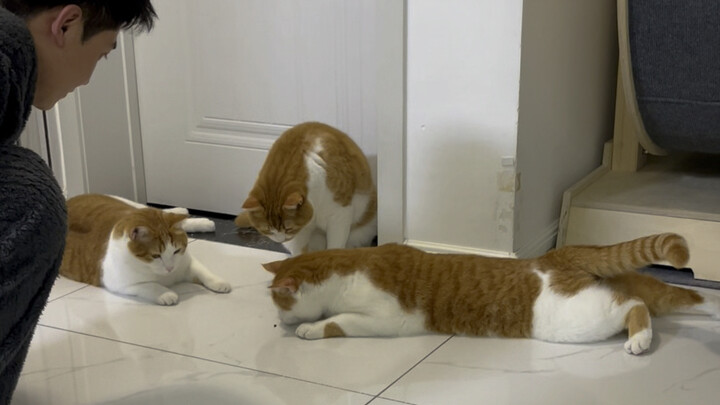 Cuộc sống của ông ấy còn sướng hơn cả tôi, nửa đêm còn gọi đồ ăn mang về ăn, ha ha ha!