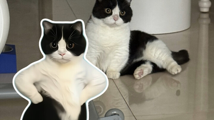 I just think its dance and facial expression control are amazing.