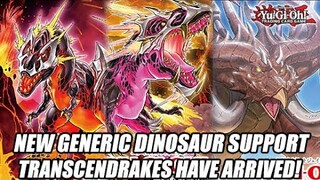 New Generic Yu-Gi-Oh! Dinosaur Support! Transcendrakes Have Arrived!