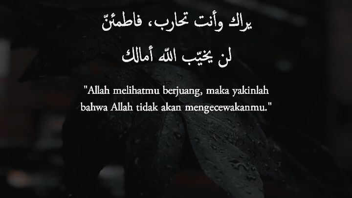 Quotes islamic