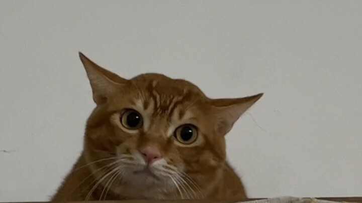 Ketika saya kembali ke rumah, dia tidak mengenali saya lagi.