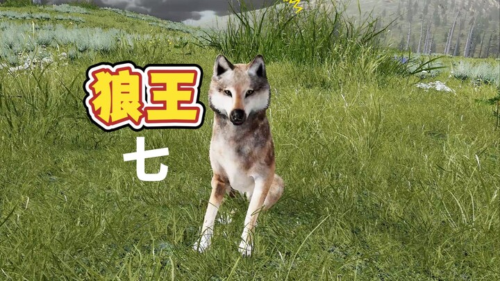 ตำนานจ้าวหมาป่า #7