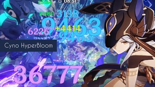 Cyno HyperBloom Yelan Xingqiu traveler I Cyno Showcase I Spiral Abyss 3.1 Floor 12 I Genshin Impact