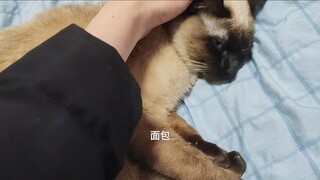 Anh cả, em là bánh mì của anh ↑↓