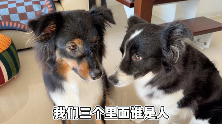 Serious discussion