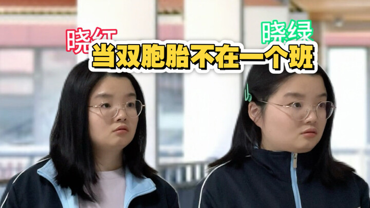 Do twins really have to be in the same class?