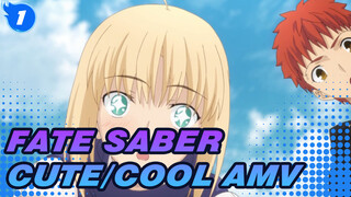 She Is So Cute! | Fate/Saber Cute/Cool AMV_1