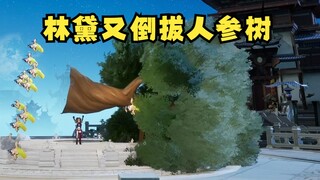 【又一】古有“鲁智深倒拔垂杨柳”，现有“林黛又倒拔人参树”！叹为观止 😲