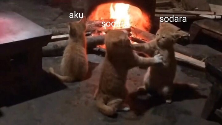 ketika saudara aku berantem  bilek😵‍💫
