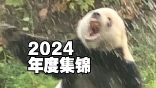 【Animal Dubbing】เป็นคอลเลคชั่นปี 2024 จ้า...