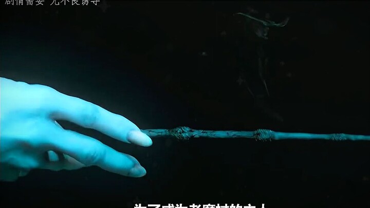To become the master of the Elder Wand, Voldemort killed Snape.