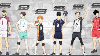 การเปรียบเทียบความสูง Haikyuu ในซีซัน 4